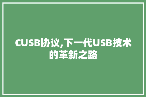 CUSB协议,下一代USB技术的革新之路