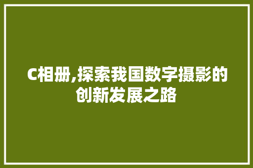 C相册,探索我国数字摄影的创新发展之路