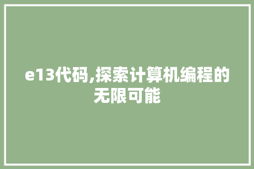 e13代码,探索计算机编程的无限可能