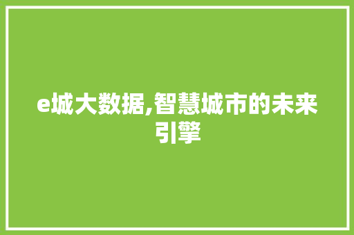 e城大数据,智慧城市的未来引擎