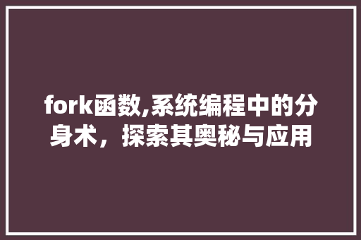 fork函数,系统编程中的分身术，探索其奥秘与应用