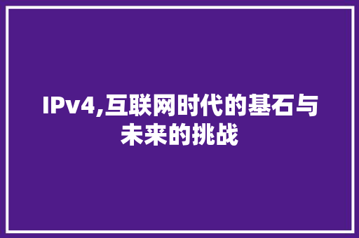 IPv4,互联网时代的基石与未来的挑战