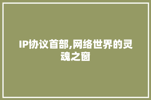 IP协议首部,网络世界的灵魂之窗