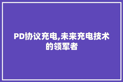 PD协议充电,未来充电技术的领军者