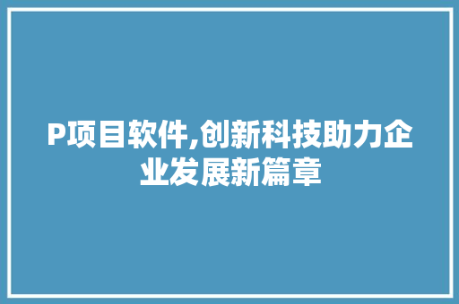 P项目软件,创新科技助力企业发展新篇章