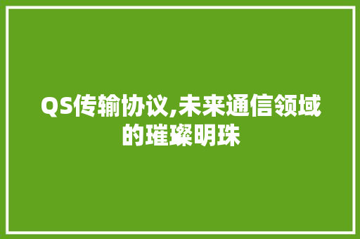 QS传输协议,未来通信领域的璀璨明珠