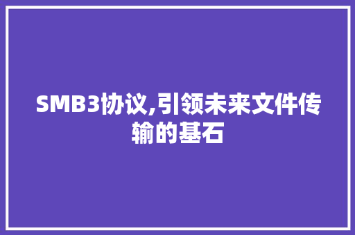 SMB3协议,引领未来文件传输的基石