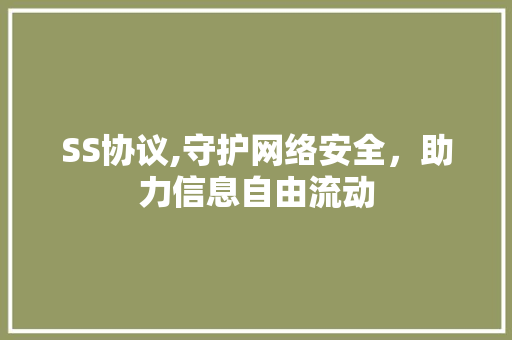 SS协议,守护网络安全，助力信息自由流动