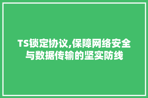 TS锁定协议,保障网络安全与数据传输的坚实防线