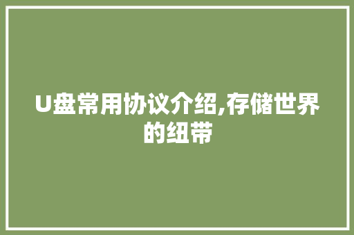 U盘常用协议介绍,存储世界的纽带