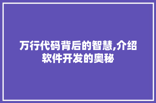 万行代码背后的智慧,介绍软件开发的奥秘