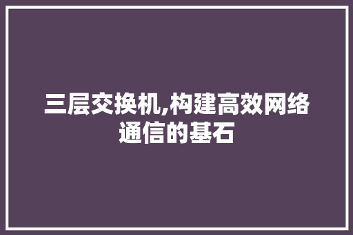 三层交换机,构建高效网络通信的基石