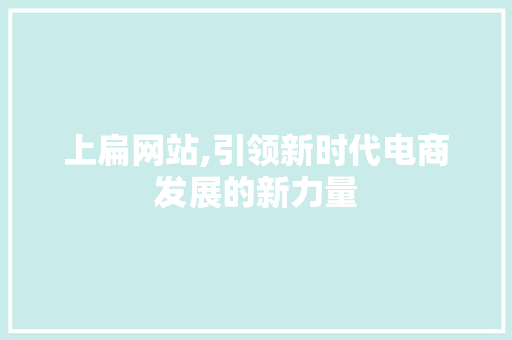 上扁网站,引领新时代电商发展的新力量