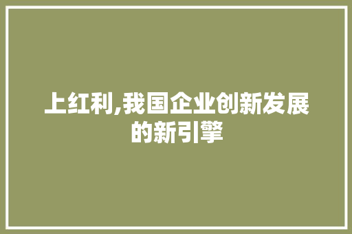 上红利,我国企业创新发展的新引擎