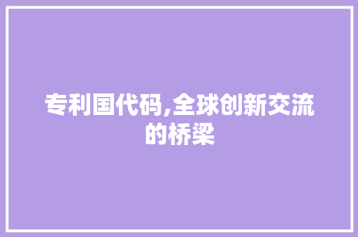 专利国代码,全球创新交流的桥梁