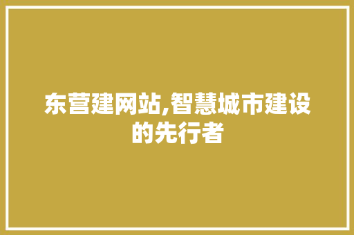 东营建网站,智慧城市建设的先行者