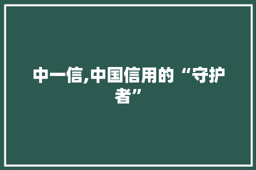 中一信,中国信用的“守护者”