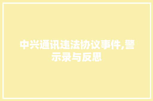 中兴通讯违法协议事件,警示录与反思