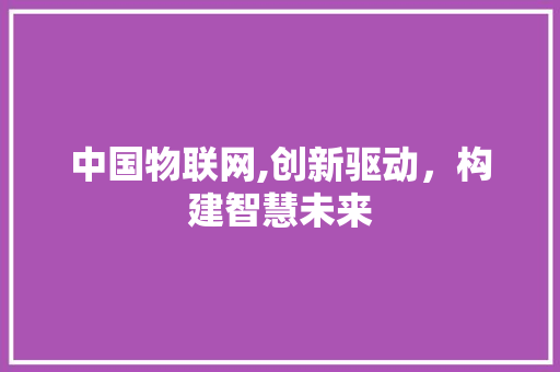 中国物联网,创新驱动，构建智慧未来