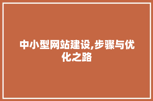 中小型网站建设,步骤与优化之路