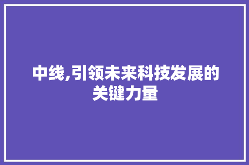 中线,引领未来科技发展的关键力量