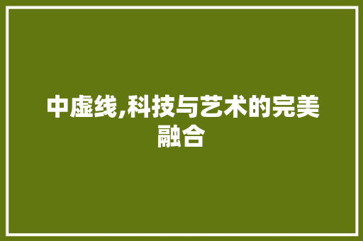 中虚线,科技与艺术的完美融合