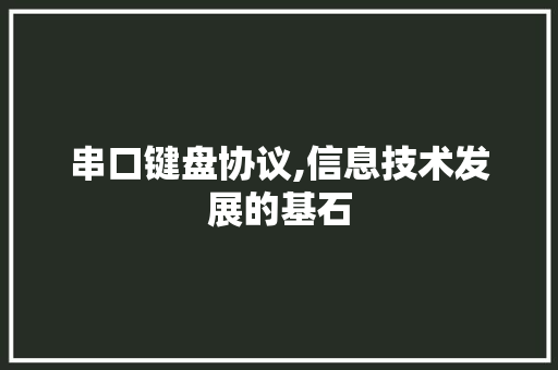 串口键盘协议,信息技术发展的基石