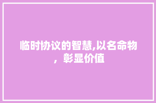 临时协议的智慧,以名命物，彰显价值