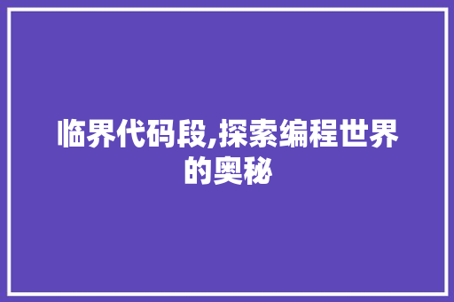 临界代码段,探索编程世界的奥秘