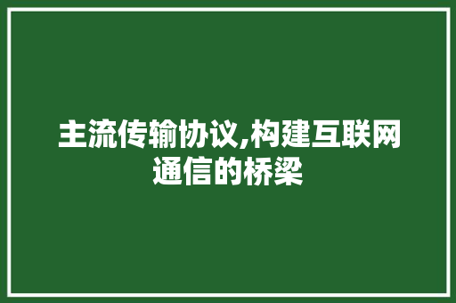 主流传输协议,构建互联网通信的桥梁