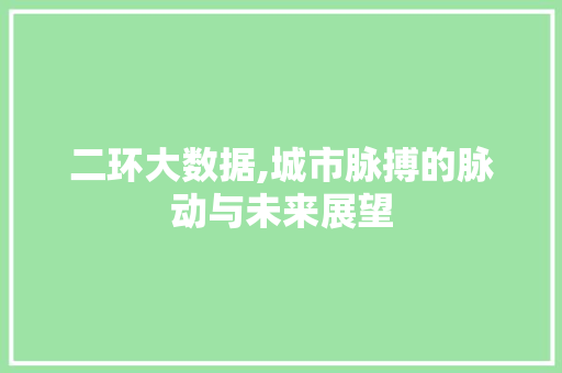 二环大数据,城市脉搏的脉动与未来展望