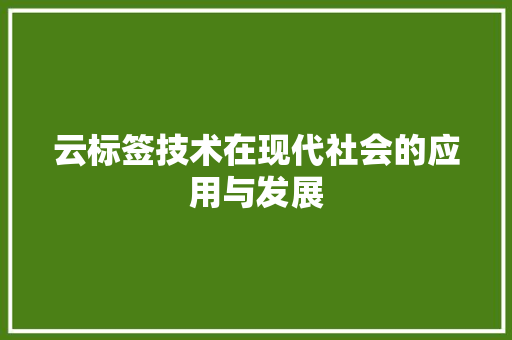 云标签技术在现代社会的应用与发展