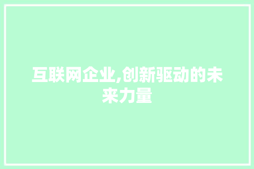 互联网企业,创新驱动的未来力量