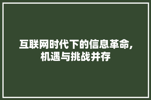 互联网时代下的信息革命,机遇与挑战并存