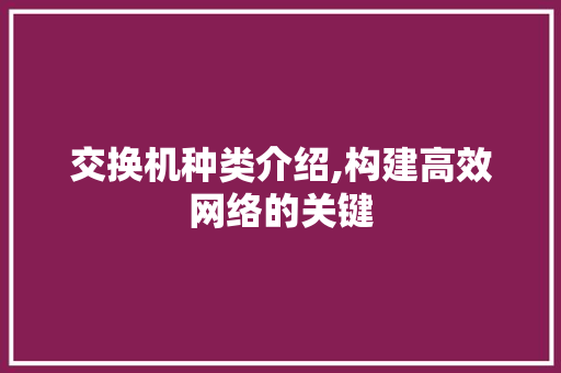 交换机种类介绍,构建高效网络的关键