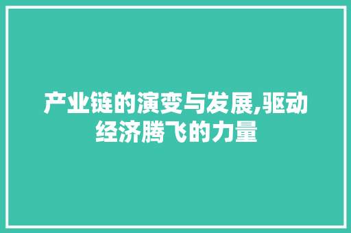 产业链的演变与发展,驱动经济腾飞的力量