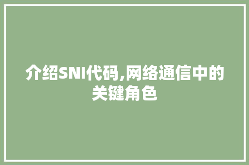 介绍SNI代码,网络通信中的关键角色