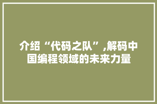 介绍“代码之队”,解码中国编程领域的未来力量