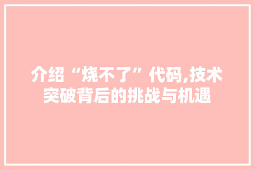 介绍“烧不了”代码,技术突破背后的挑战与机遇