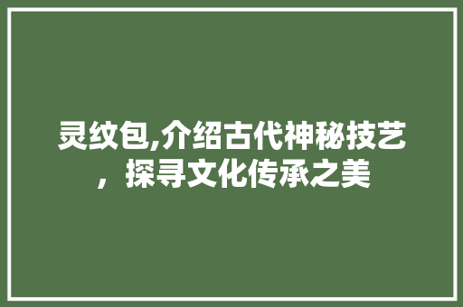 灵纹包,介绍古代神秘技艺，探寻文化传承之美