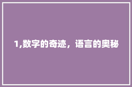 1,数字的奇迹，语言的奥秘