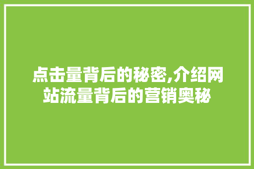 点击量背后的秘密,介绍网站流量背后的营销奥秘