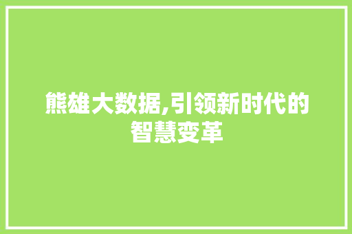 熊雄大数据,引领新时代的智慧变革