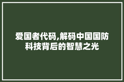 爱国者代码,解码中国国防科技背后的智慧之光