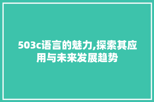 503c语言的魅力,探索其应用与未来发展趋势