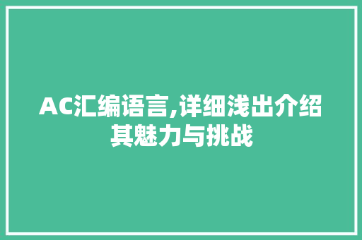 AC汇编语言,详细浅出介绍其魅力与挑战