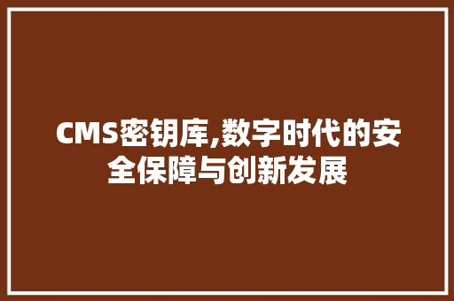 CMS密钥库,数字时代的安全保障与创新发展 Vue.js