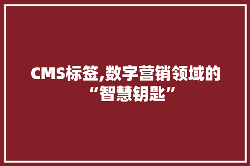 CMS标签,数字营销领域的“智慧钥匙”