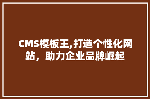 CMS模板王,打造个性化网站，助力企业品牌崛起