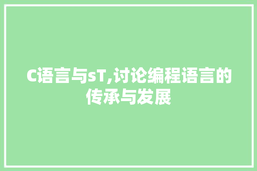 C语言与sT,讨论编程语言的传承与发展 JavaScript